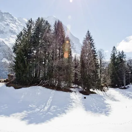 Grindelwaldgletscher - Griwa Rent Ag Apartamento Grindelwald