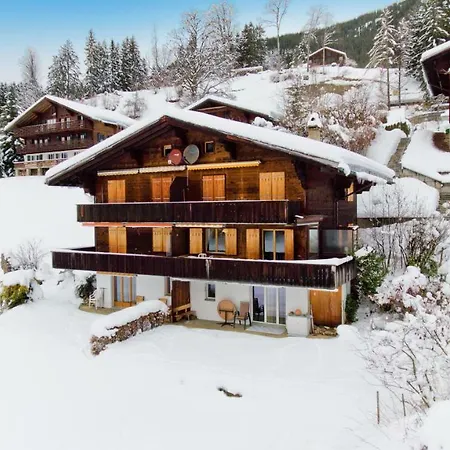 Grindelwaldgletscher - Griwa Rent Ag