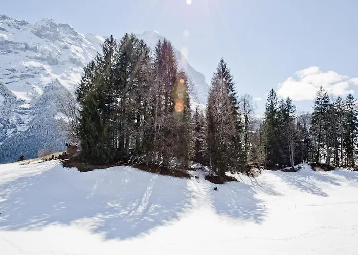 Grindelwaldgletscher - Griwa Rent Ag 公寓 格林德瓦