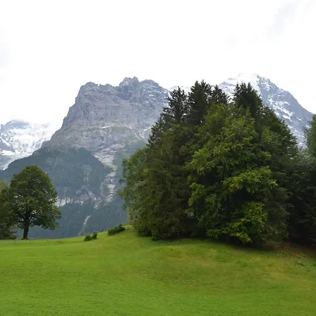 Appartamento Grindelwaldgletscher - Griwa Rent Ag Grindelwald